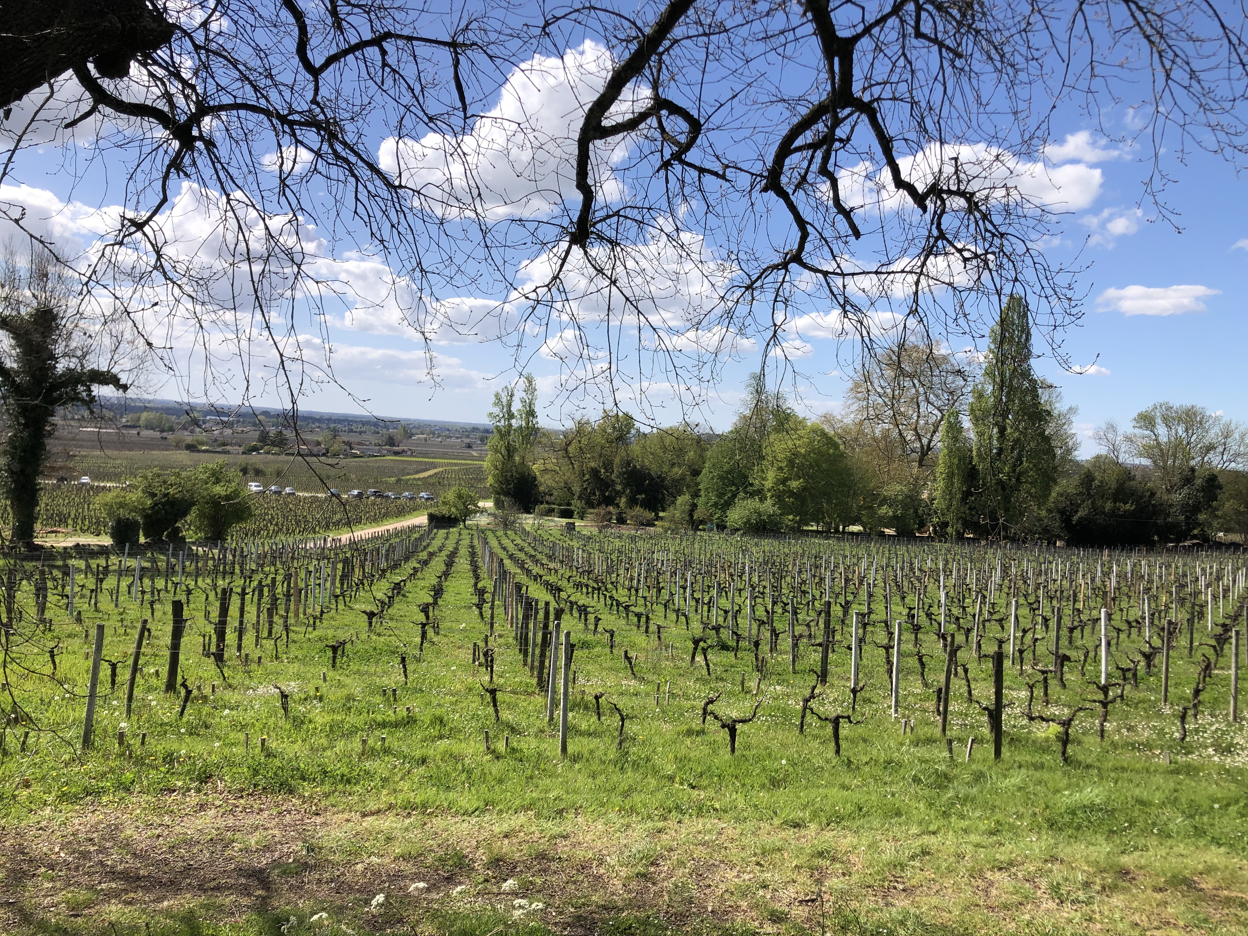 Photo n° 1 de l'avis de Angélique. fait le 09/04/2022 à 16:12