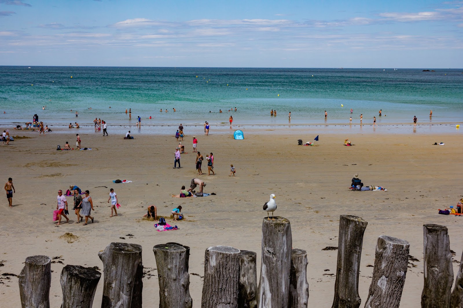 Grande Plage du Sillon photo #7