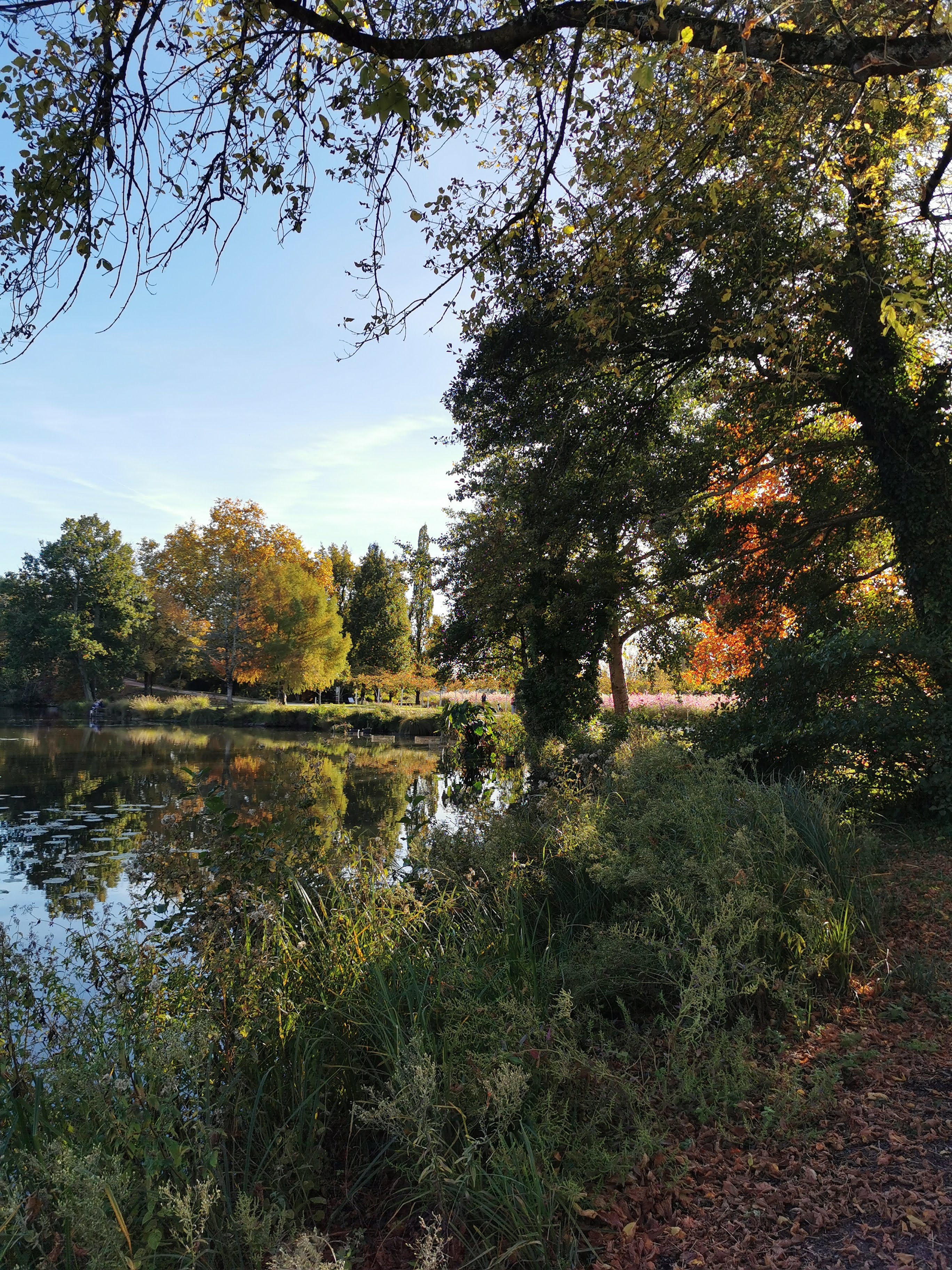 Photo n° 19 de l'avis de Alexandre.l fait le 27/10/2021 à 18:59