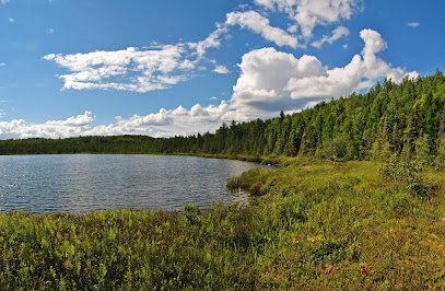 Glocke Lake State Natural Area