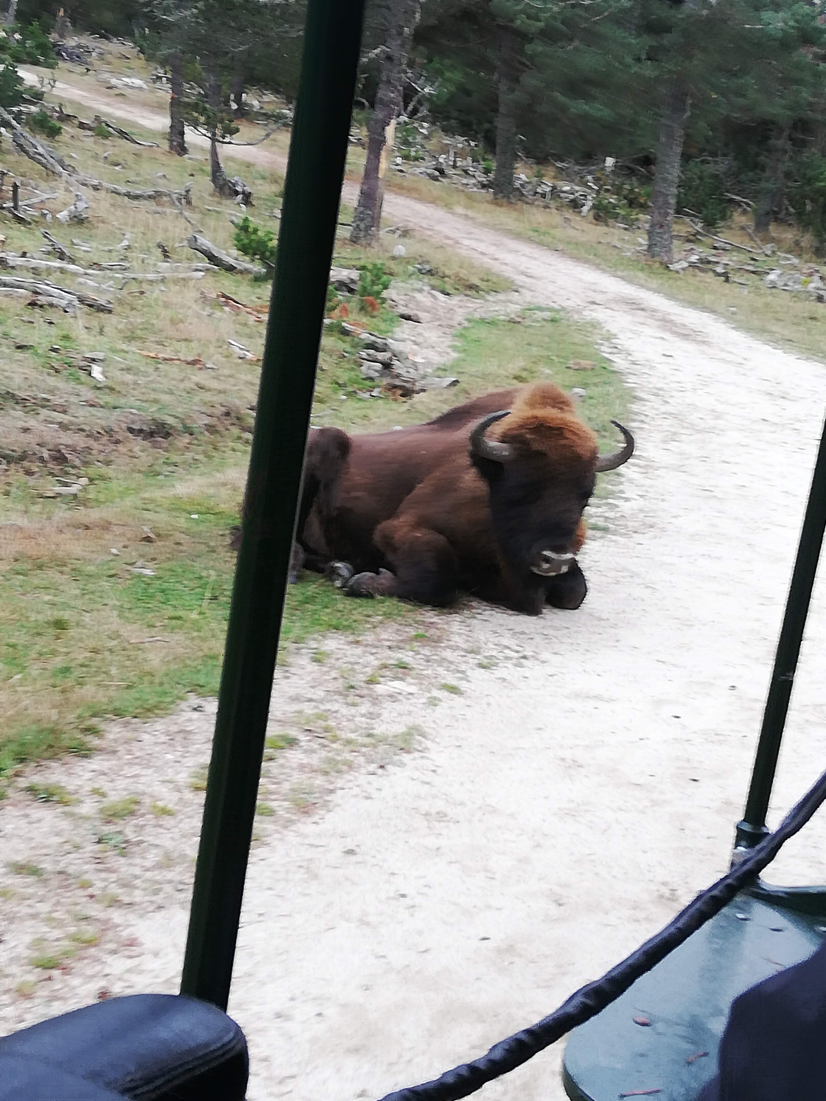 Photo n° 4 de l'avis de hugues.e fait le 10/10/2019 à 07:15