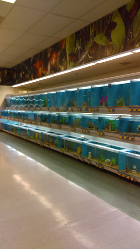 Pet Supply Store «PetSmart», reviews and photos, 10830 Olson Dr, Rancho Cordova, CA 95670, USA