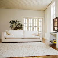 Bravo Carpet and Upholstery Cleaning