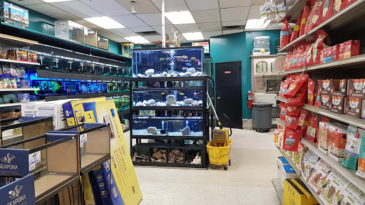 The Pet Store image 10