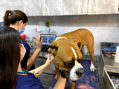 Hospital Veterinario Meds For Pets Escobedo