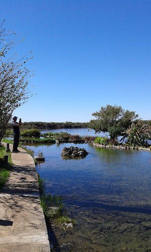 Unnamed Rd, Termas del Arapey, Uruguay