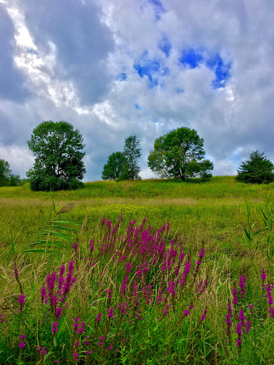 State Park «Goosepond Mountain State Park», reviews and photos, 1198 New York 17M, Chester, NY 10918, USA