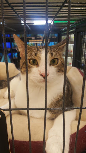 Pet Supply Store «Pet Supplies Plus», reviews and photos, 601 Portion Rd, Lake Ronkonkoma, NY 11779, USA