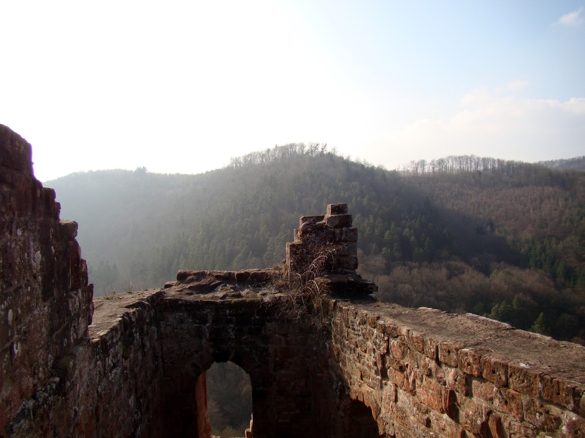 Photo n° 4 de l'avis de 57manpower. fait le 29/09/2017 à 17:03