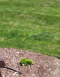 Clean Cut Lawn Care - Photo 3 - Car repair in Shelley, ID, Idaho Falls