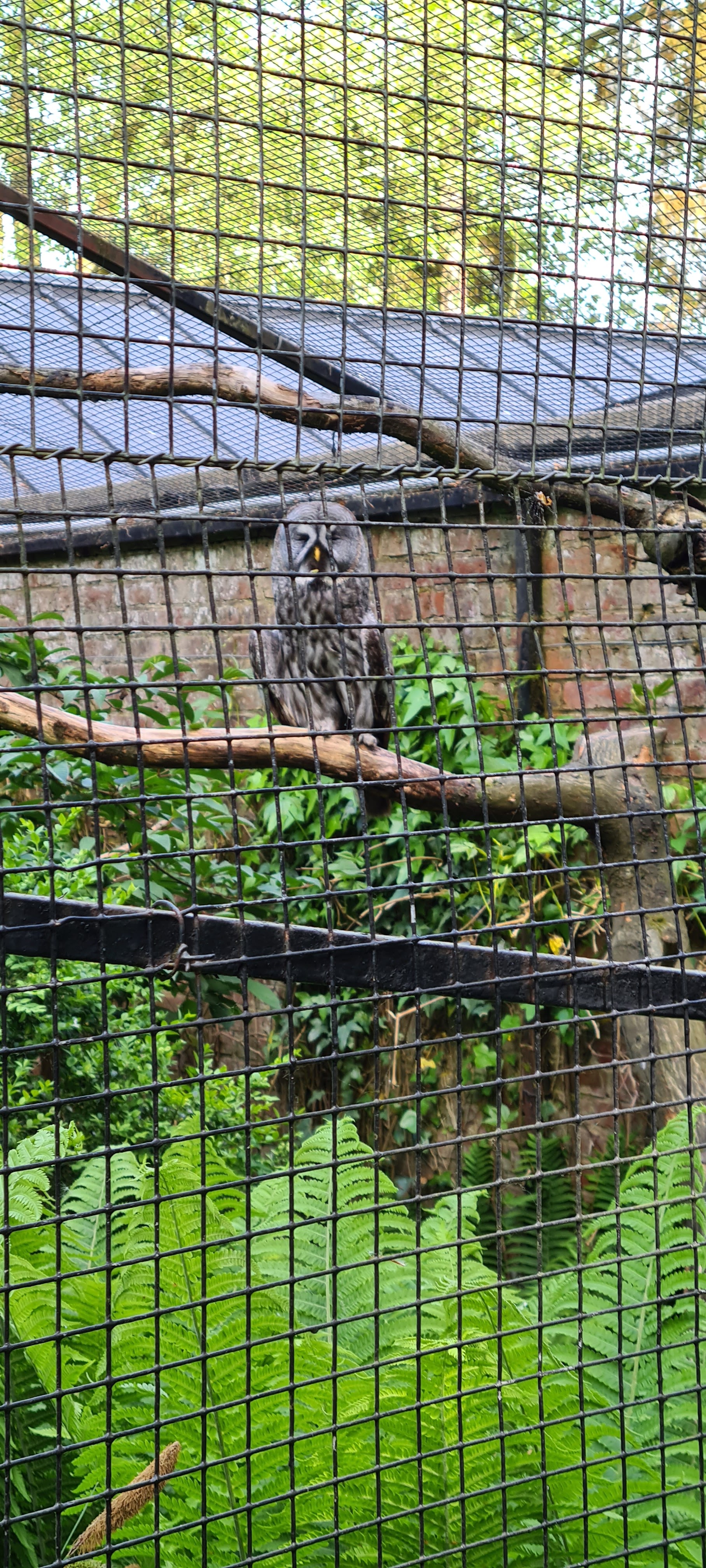 Photo n° 1 de l'avis de Raynald. fait le 15/05/2022 à 18:40