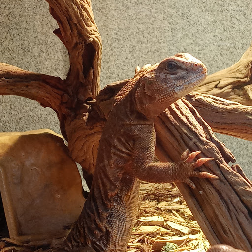 Pet Store «Valley Pets», reviews and photos, 6380 US-85, Fountain, CO 80817, USA