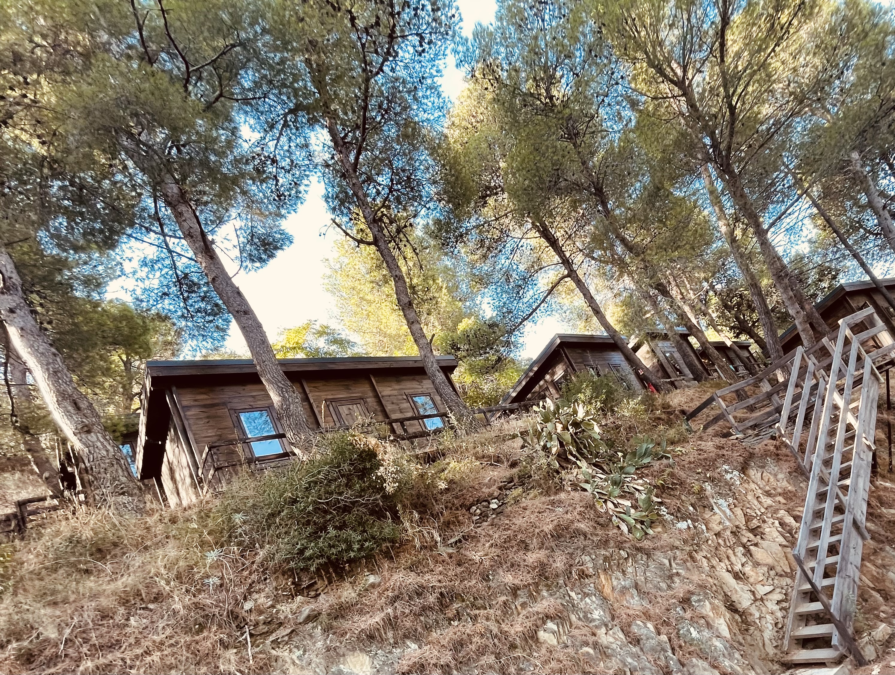 Photo n° 3 de l'avis de Bastien.a fait le 03/09/2022 à 17:43