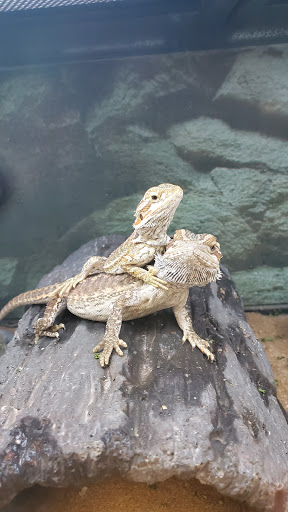 Pet Supply Store «Petco Animal Supplies», reviews and photos, 18578 Coastal Hwy #12, Rehoboth Beach, DE 19971, USA