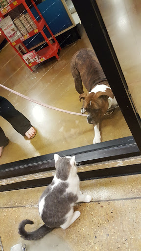 Pet Supply Store «PetSmart», reviews and photos, 2153 75th St, Darien, IL 60561, USA