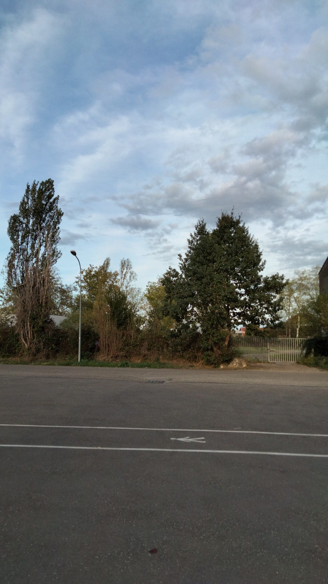 Photo n° 45 de l'avis de Francisco.a fait le 24/10/2022 à 15:38