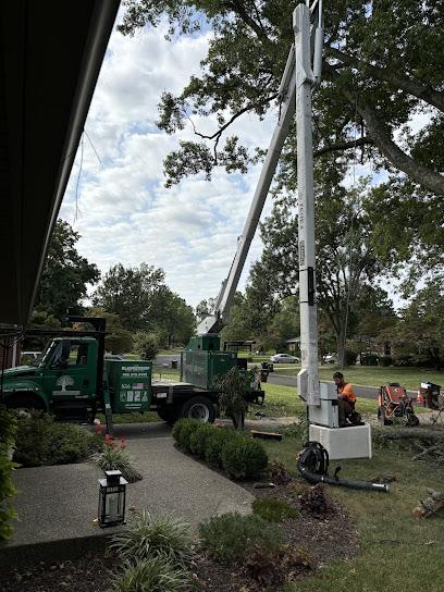 The Blankenship Tree Service