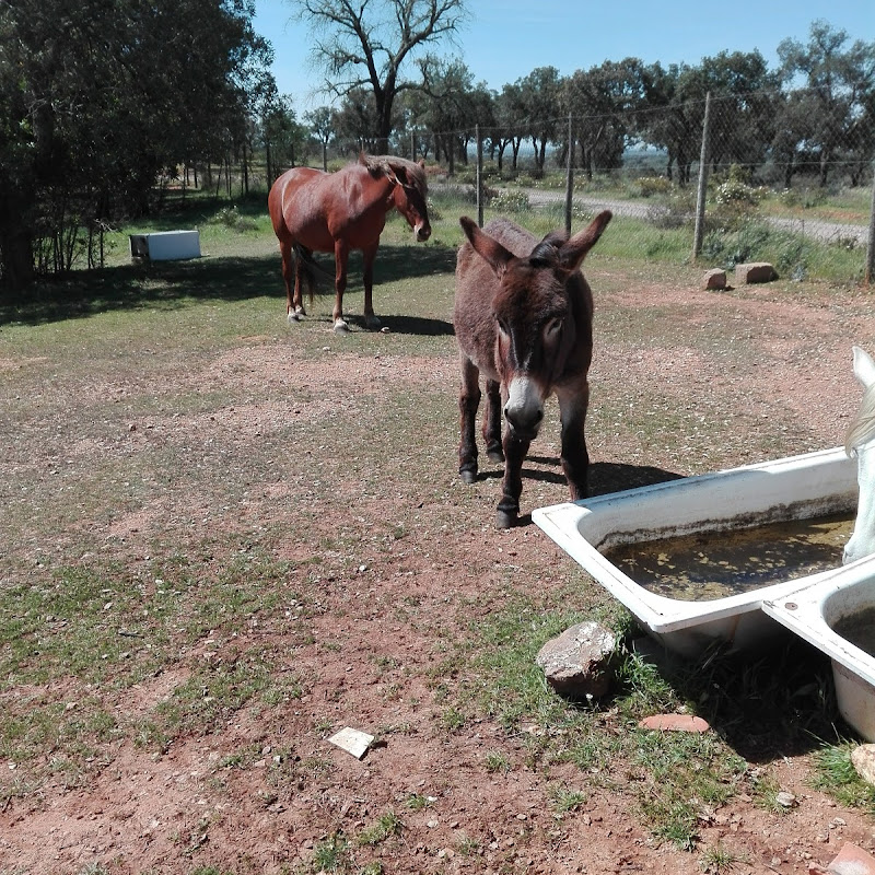 Parque Biologico da Cabeça Gorda