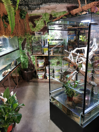 Reptiles S. Reinshagen unter Wuppertal, 