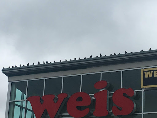 Supermarket «Weis Markets», reviews and photos, 9250 Washington Blvd N, Laurel, MD 20723, USA