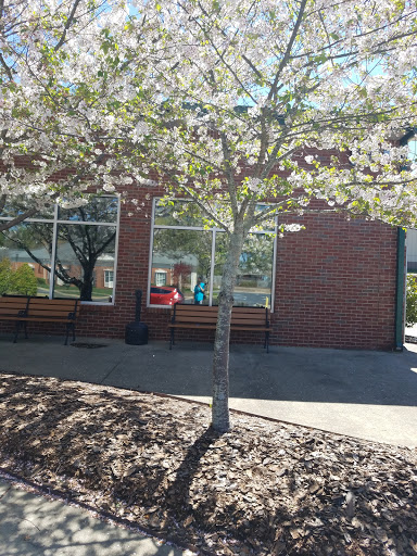 Car Wash «Diamond Auto Spa - Oakwood», reviews and photos, 3638 Wallis Rd, Flowery Branch, GA 30542, USA