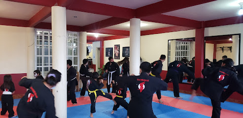 Samurai karate Do Ajacuba - Av. Del progreso 12, Centro, 42150 Ajacuba, Hgo., Mexico