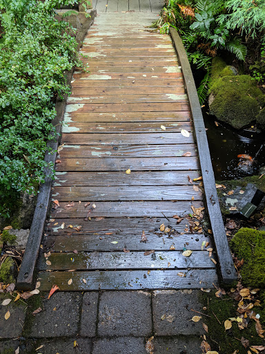 Vineyard «Olalla Vineyard & Winery», reviews and photos, 13176 Olalla Valley Rd SE, Olalla, WA 98359, USA