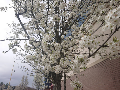 Electronics Store «Best Buy», reviews and photos, 220 Daniel Webster Hwy, Nashua, NH 03060, USA