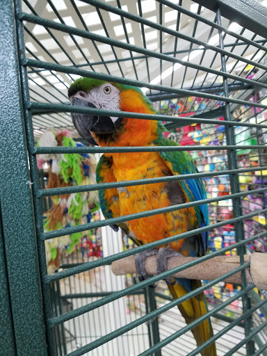 Pet Store «Discount Pet & Supplies», reviews and photos, 16320 Middlebelt Rd, Livonia, MI 48154, USA