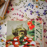 Photo n°12 de l'avis de Andrea.i fait le 13/12/2018 à 19:55 sur le  Pizzeria Le Streghe à Minerbio