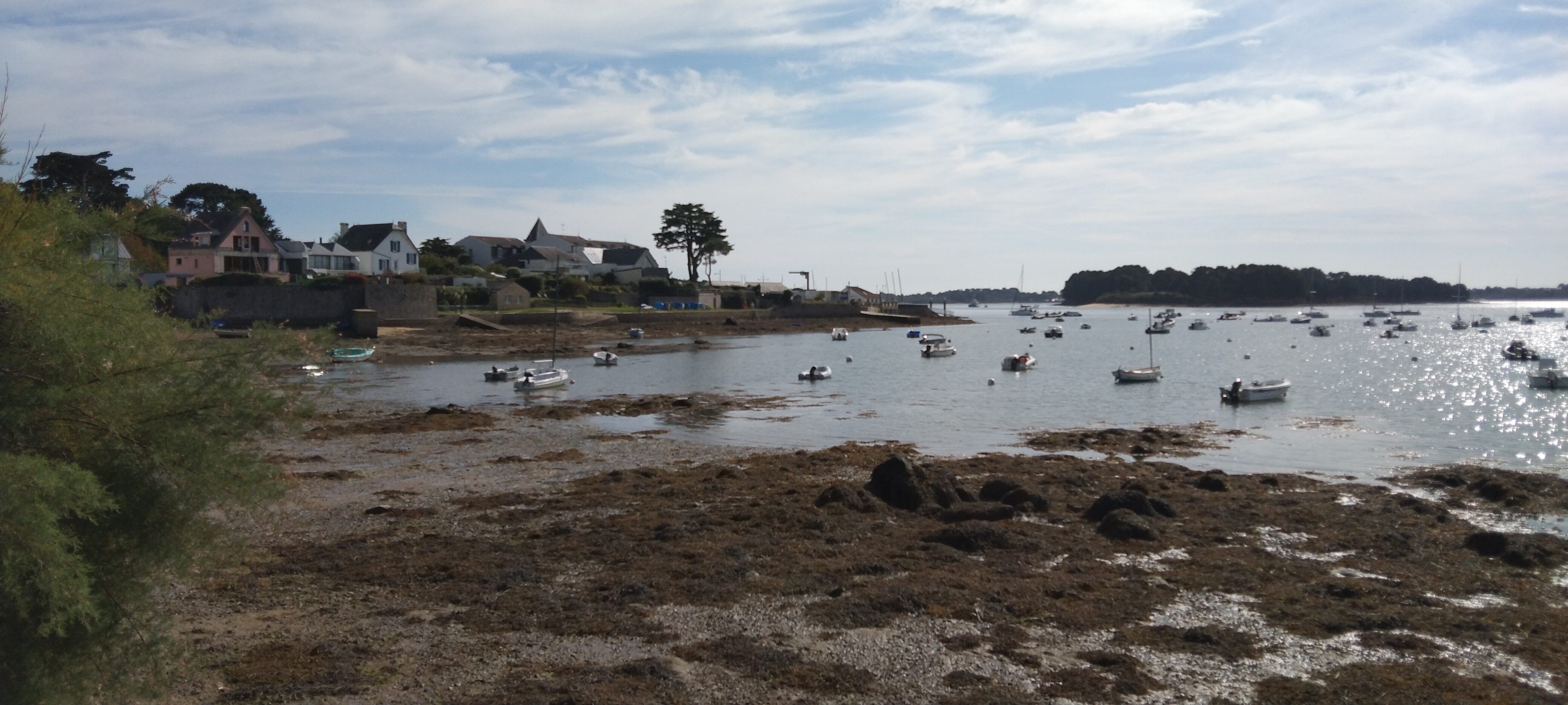 Photo n° 1 de l'avis de bertrand.a fait le 05/10/2023 à 12:57