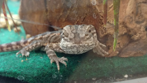 Pet Supply Store «PetSmart», reviews and photos, 291 Skokie Blvd, Northbrook, IL 60062, USA