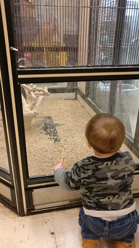 Pet Supply Store «PetSmart», reviews and photos, 3601 Rib Mountain Dr, Wausau, WI 54401, USA