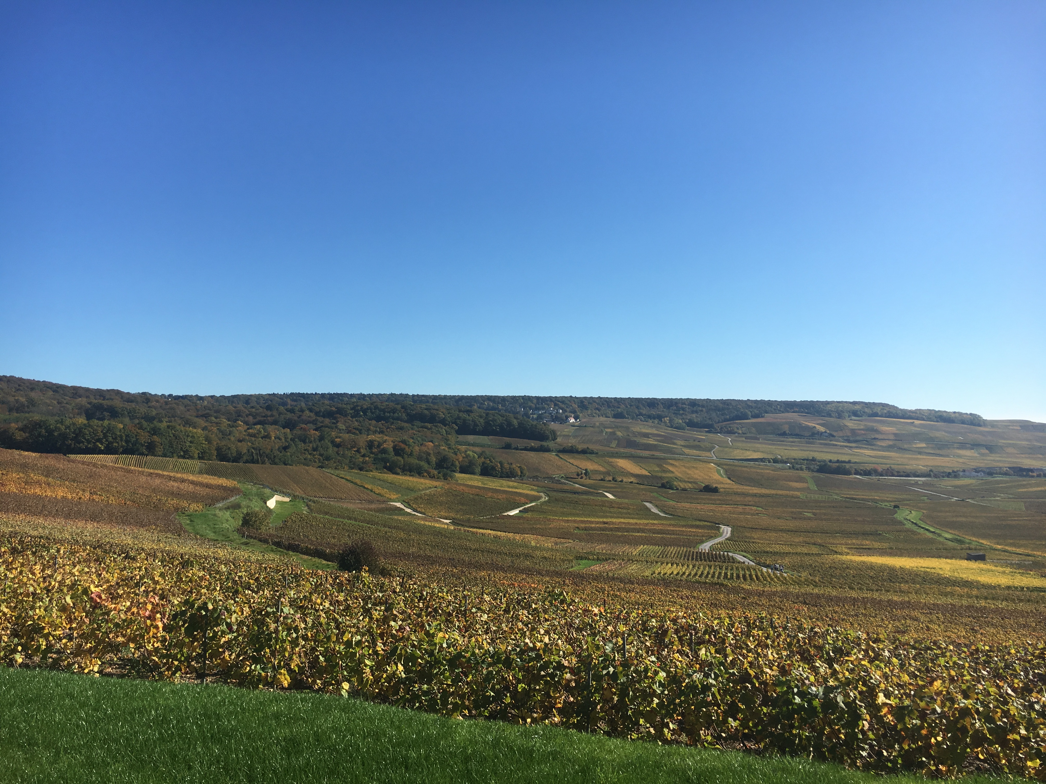 Photo n° 3 de l'avis de Guillaume. fait le 19/10/2017 à 21:02