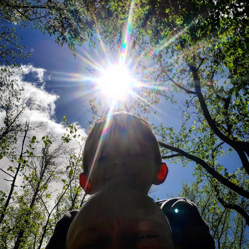 Nature Preserve «Teetertown Ravine Nature Preserve», reviews and photos, 30 Pleasant Grove Rd, Port Murray, NJ 07865, USA