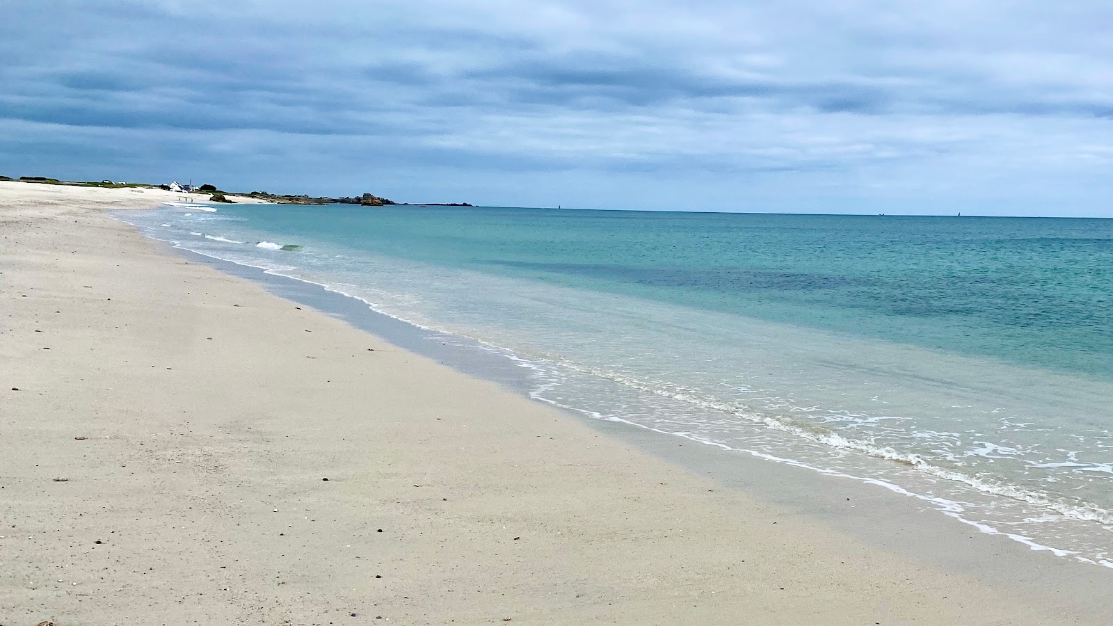 Plage de Skividen'in fotoğrafı vahşi alan