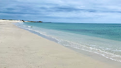 Plage de Skividen'in fotoğrafı vahşi alan