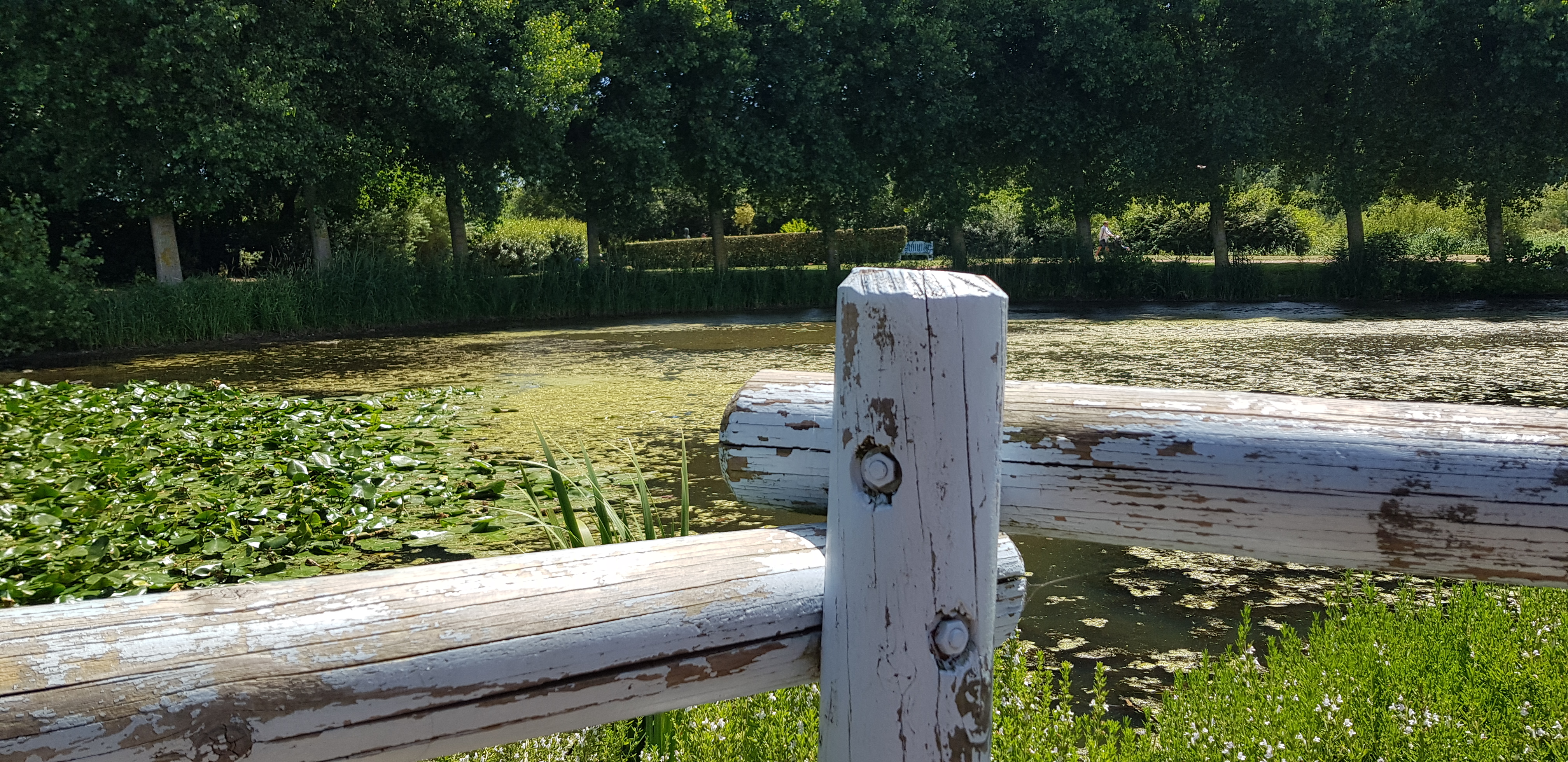 Photo n° 4 de l'avis de Stephane.o fait le 12/07/2020 à 19:25