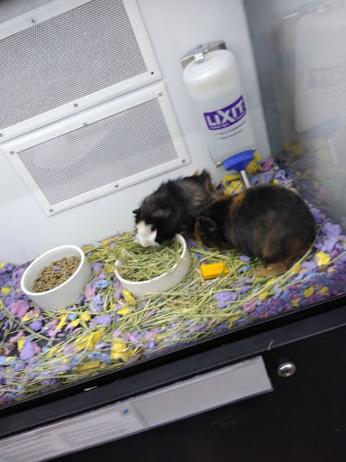 Pet Supply Store «Petco Animal Supplies», reviews and photos, 24413 Crenshaw Blvd #8, Torrance, CA 90505, USA