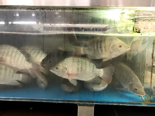 Grocery Store «1st Spring Supermarket», reviews and photos, 10681 E Colonial Dr, Orlando, FL 32817, USA