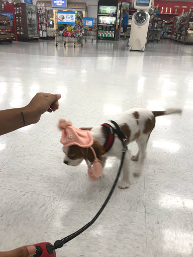 Pet Supply Store «Petco Animal Supplies», reviews and photos, 8111 W Broward Blvd, Plantation, FL 33324, USA