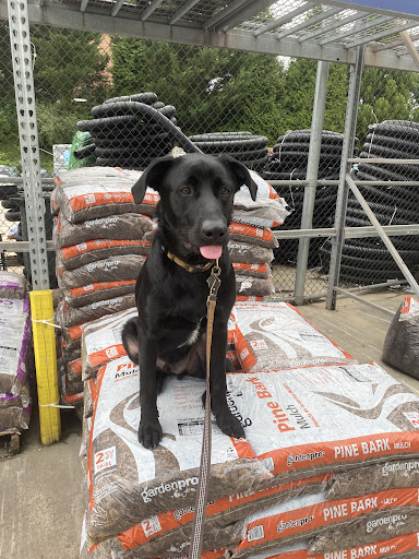 Dog Trainer «Off Leash K9 Training, Charlottesville», reviews and photos, 8782 Seminole Trail, Ruckersville, VA 22968, USA