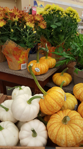 Supermarket «Stop & Shop», reviews and photos, 425 Lewandowski St, Lyndhurst, NJ 07071, USA