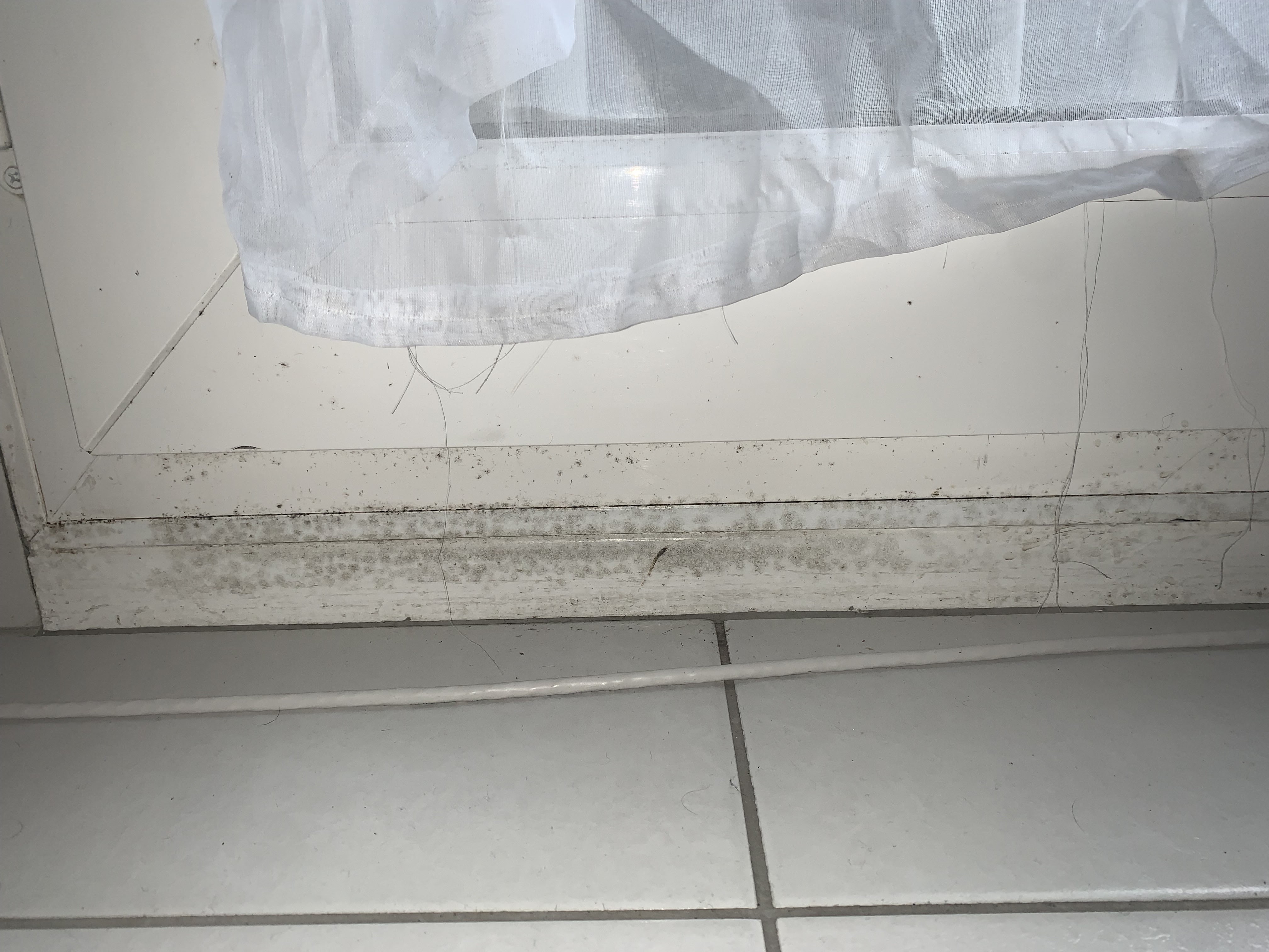Photo n° 2 de l'avis de Mathis.a fait le 02/02/2023 à 15:32