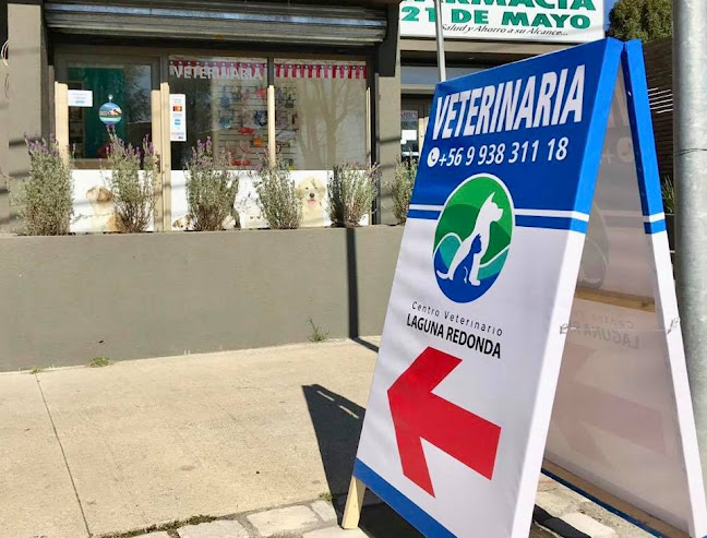 Opiniones de Centro Veterinario Laguna Redonda en Concepción - Veterinario