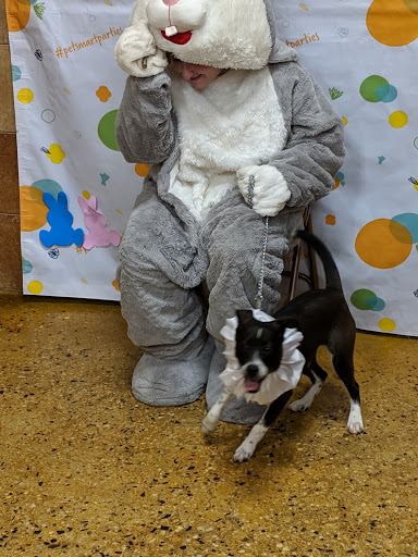 Pet Supply Store «PetSmart», reviews and photos, 1110 NY-112, Port Jefferson Station, NY 11776, USA