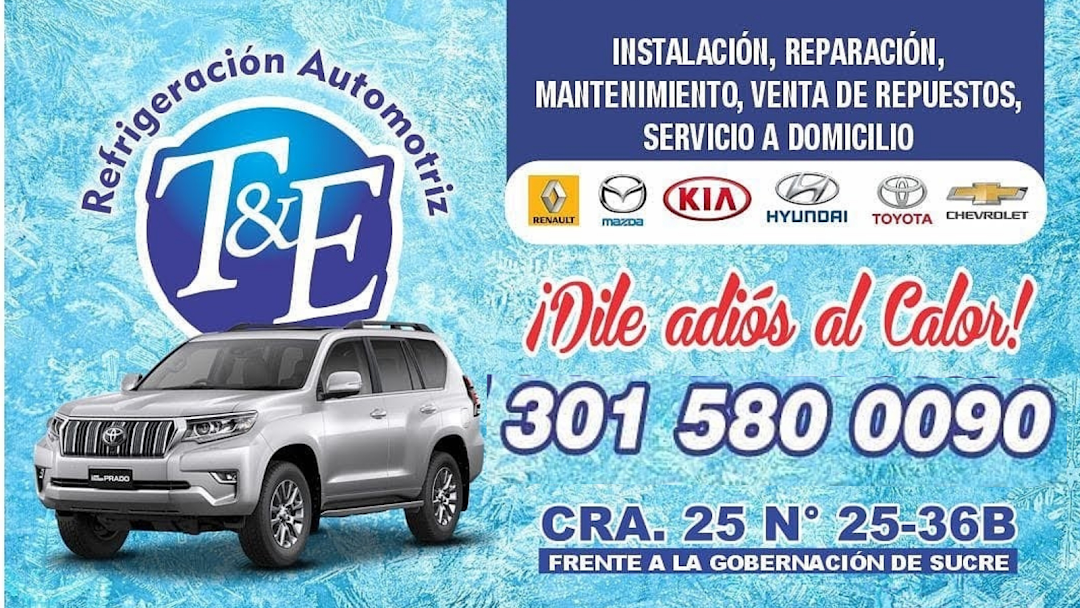 Refrigeración automotriz T&E