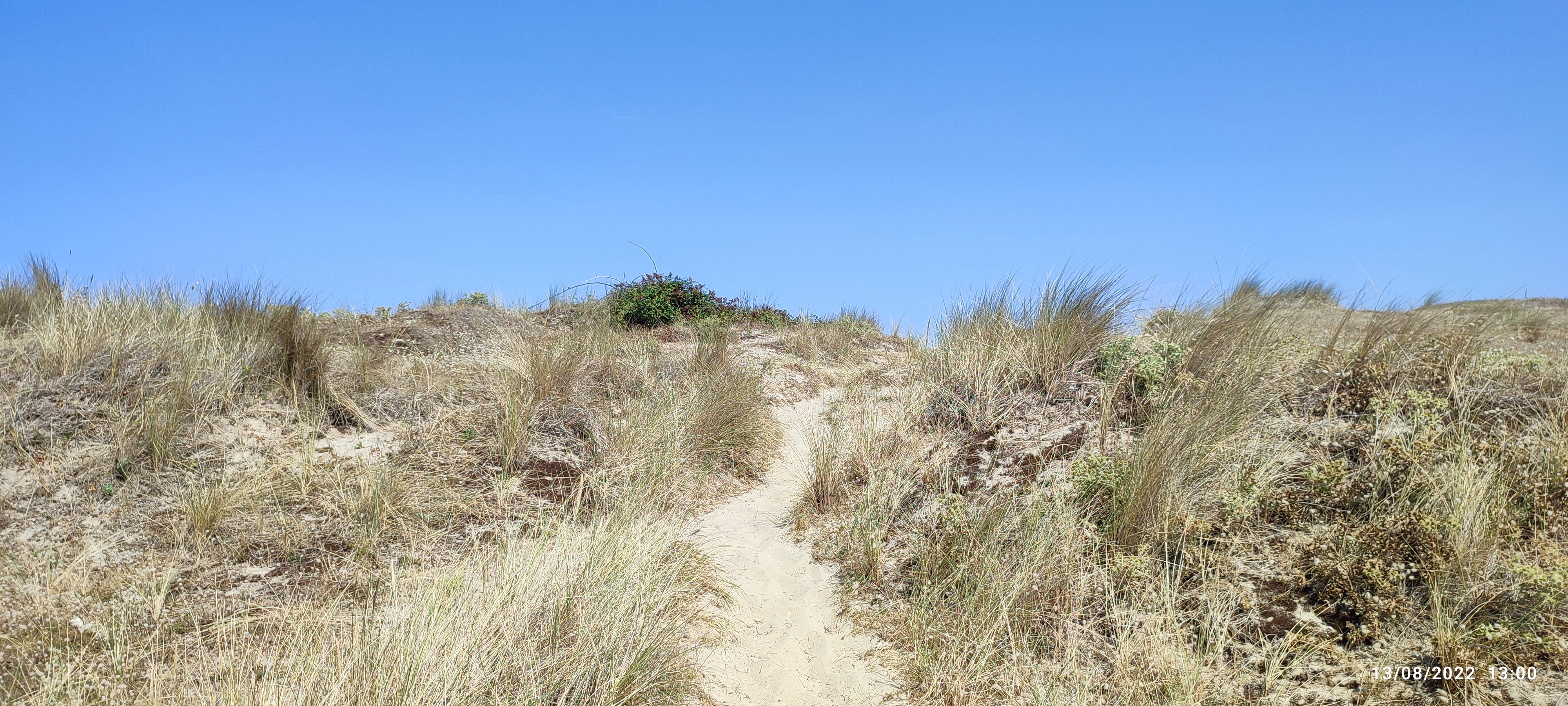 Photo n° 2 de l'avis de Bruno.l fait le 13/08/2022 à 16:51