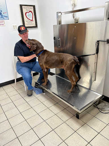 Broadview Animal Hospital image