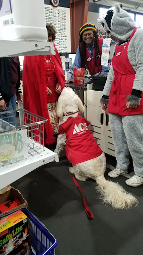 Hardware Store «Gold Country Ace Hardware», reviews and photos, 4121 Cameron Park Dr, Cameron Park, CA 95682, USA